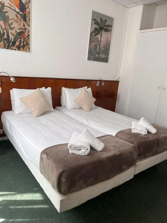Azurene Royal Hotel Cannes 2*,
